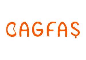 Bagfaş