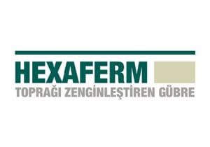 Hexaferm